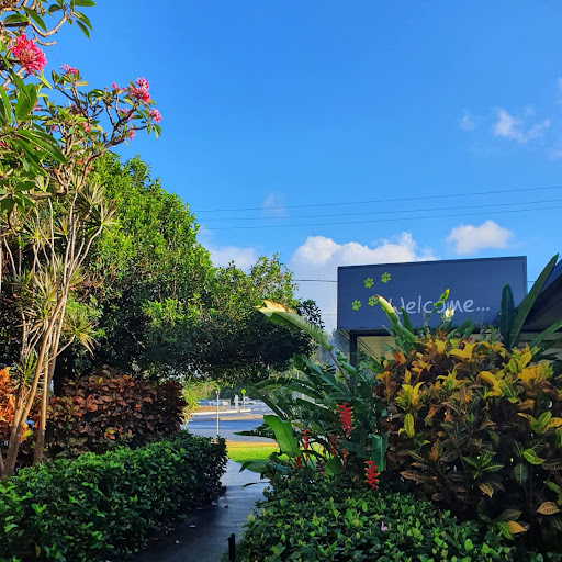 Ulysses Veterinary Clinic Cairns Gallery - Australia