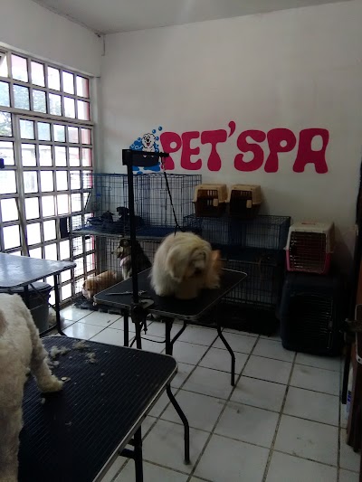 Photos of Pet'Spa