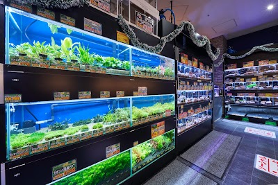 ひごペットフレンドリー セブンパーク天美店