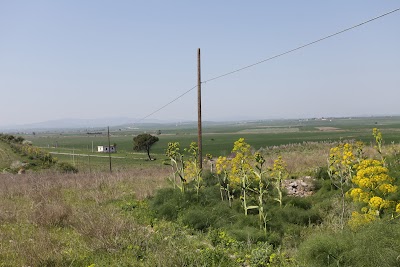 Herdonia Archaeological Excavations