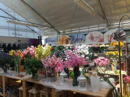 Il Garden - Thumbnail