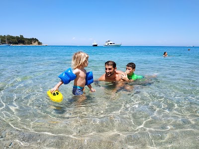 Çekirdeksiz Mandalin Camping Kemer Antalya