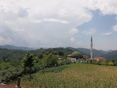 Kaynartaş Merkez Camii