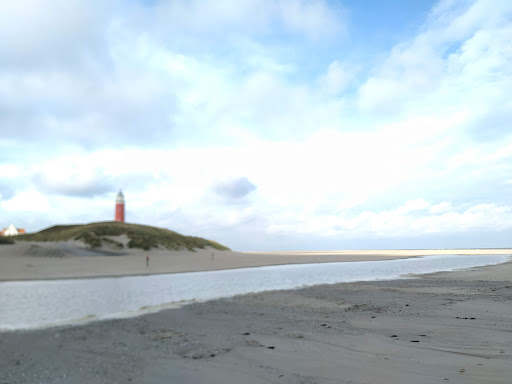 kaas boerderij, vakantiewoningen en minicamping de duinen Texel - Thumbnail