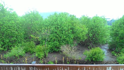 Photos of Mangrove Eco Tourism, Sheets, West Lombok regency