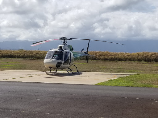 Safari Helicopter Landing - Thumbnail