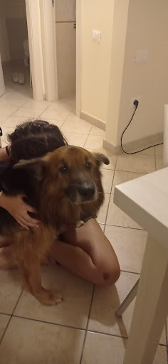 Marchi Dr. Andrea Ambulatorio Veterinario - Thumbnail