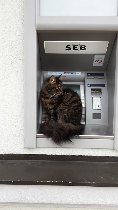 bank