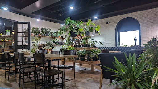 Curiouser Coffee and Conservatory - United States