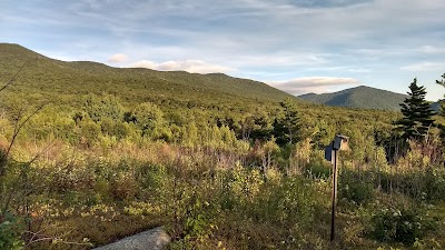 Goshen Blueberry Management Area