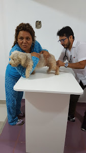 Alvet Veterinaria y Spa 21 de Abril 9