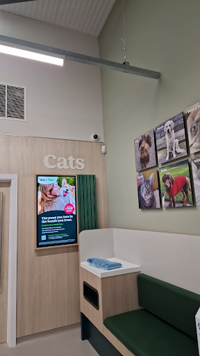 Longton Vets for Pets - Thumbnail