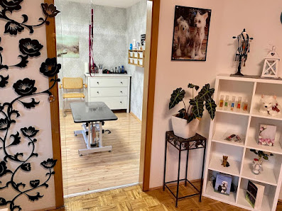 Bild: Pawfection Tierpflege Alle