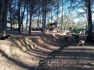 Photo n°3 de La Bartassière à Neffiès (Ferme)