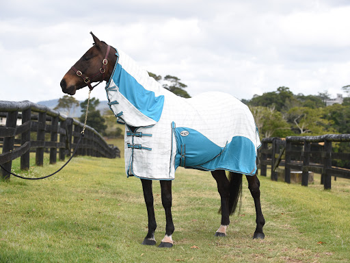 Caribu Horse Wear - Thumbnail