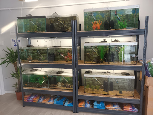 Raw Aquatics - Visual