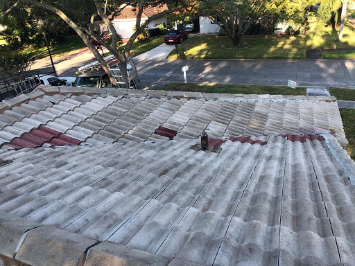 Tedesco Painting Services - Thumbnail