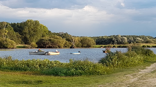 Lac de Grand-Lieu - Passay port d'été