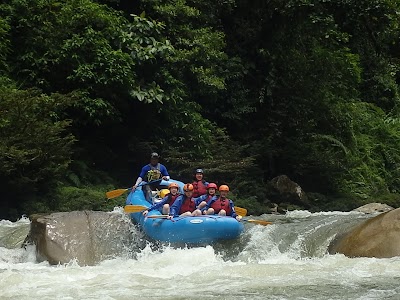 Photos of ARA Adventure River Amazonas