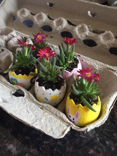 The Garden Shoppe n' Bar - Thumbnail