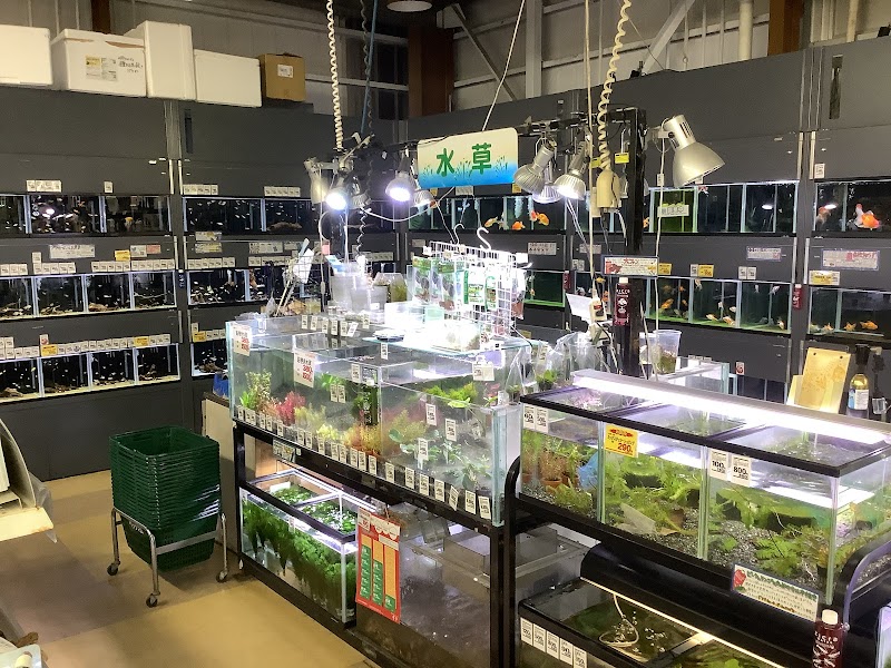 ペッツ・マム 鎌田店