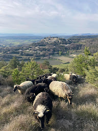 Photo n°4 de La Bergerie des Pres à Clansayes (Élevage laitier)