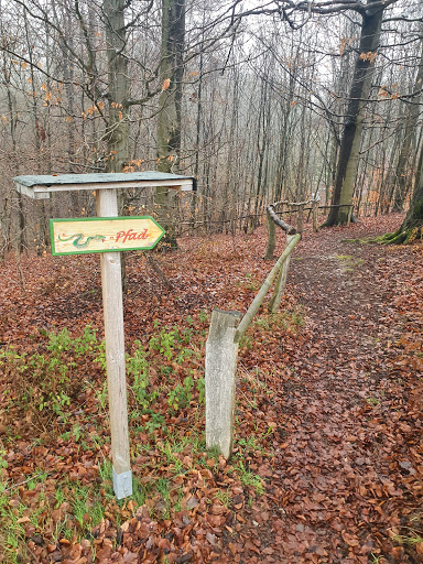 Schlangen Pfad