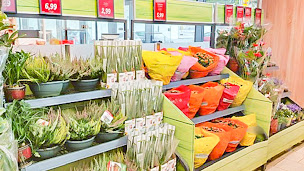 Photo n°31 de Lidl Pierrefitte - Supermarché à Saint-Denis (Supermarché)