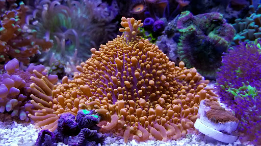 Oceans Below - Visual