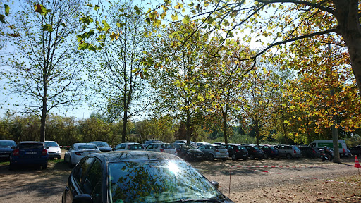 Parkplatz Altrheinsee - Thumbnail