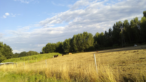 Im Angeltal - Wanderweg X3 in Sendenhorst