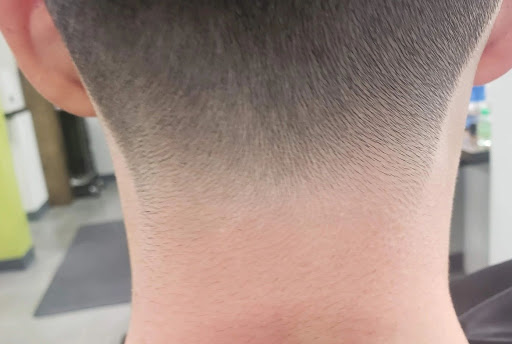 Fresh Cuts - Visual