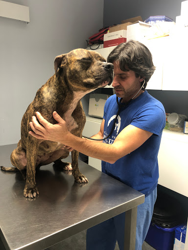 Clínica Veterinaria Peludines