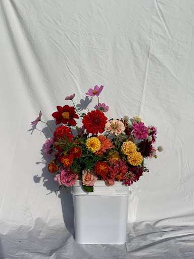 Field Blooms - Thumbnail