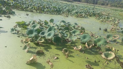 Photos of Heron County Park