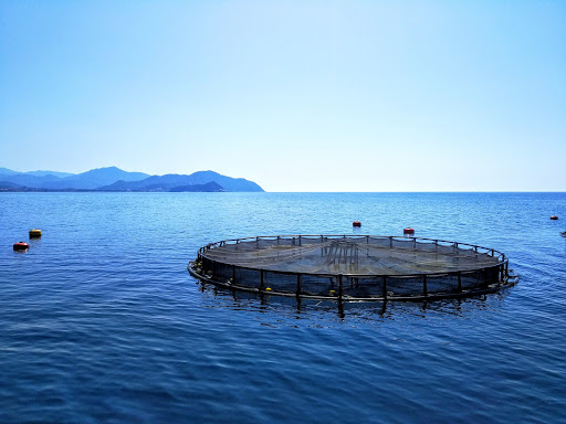 Aqua Srl - Visual