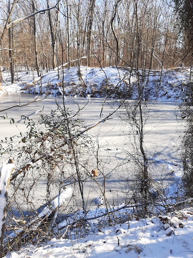Scales Lake Park MTB Trailhead & Parking - Thumbnail
