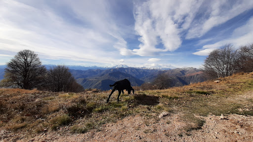 PalaVilloresi - Thumbnail