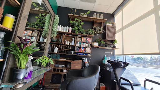 Phenix Salon Suites - Santa Ana - Thumbnail