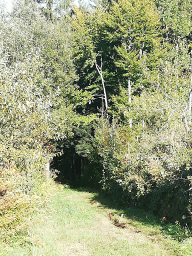 Tischneck - Thumbnail