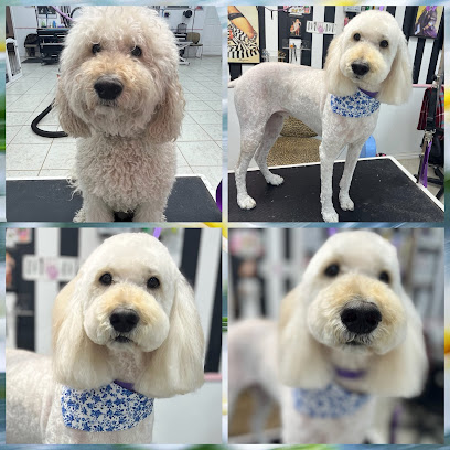 the velvet paw lounge LLC