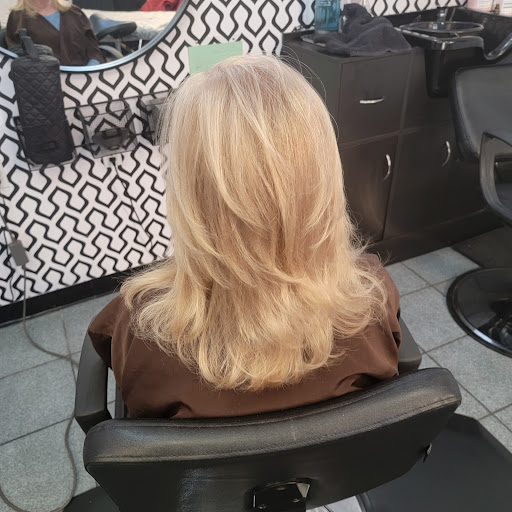 Tony Hauser Salon - Thumbnail