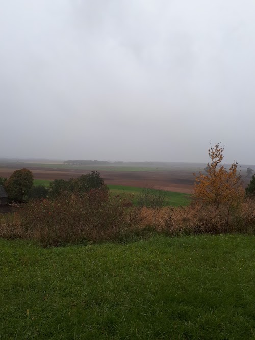 Kulviečio obeliskas