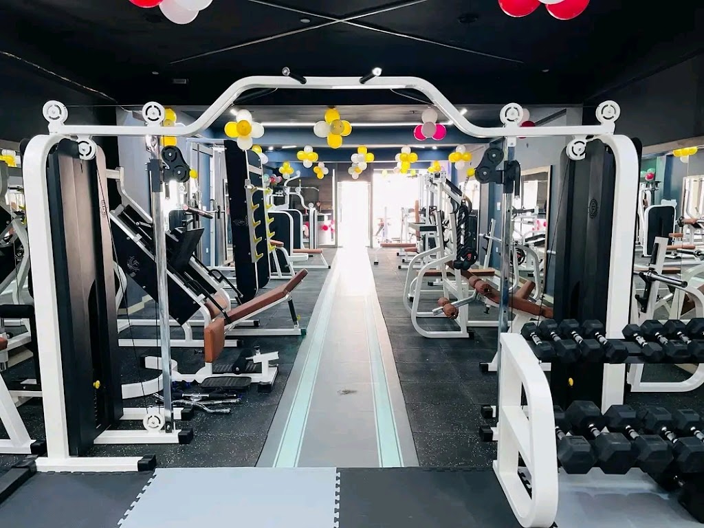 Tredmill Repairing And Gym Setup