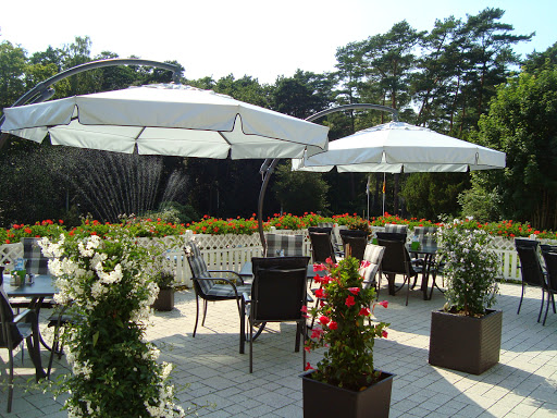 site_photo4