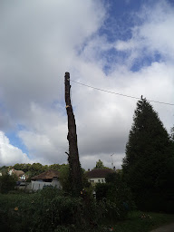 Photo n°17 de ARBOR&TOM à Saint-Étienne-sous-Bailleul (Paysagiste)