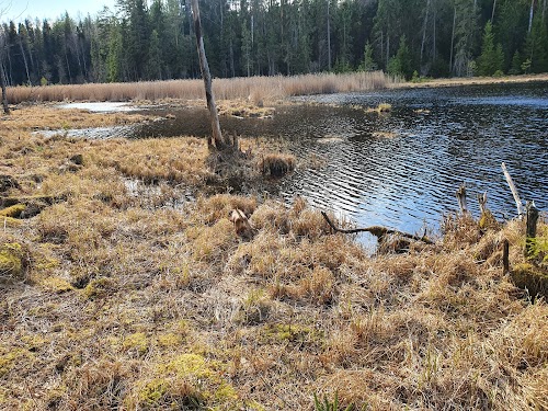 RMK Peräjärve lõkkekoht