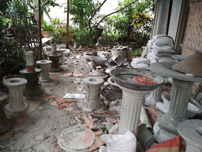 Photos of Ficus Garden