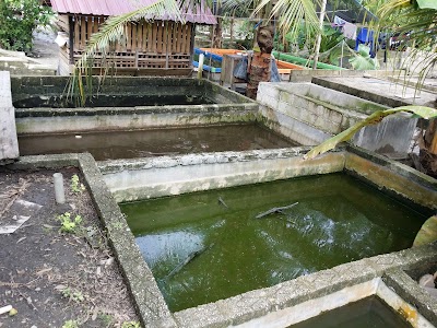 Photos of Pembenihan Upr Raja Ikan