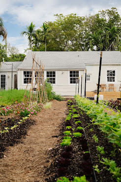 Little River Cooperative Culinary Plant Nursery & Garden Services by null